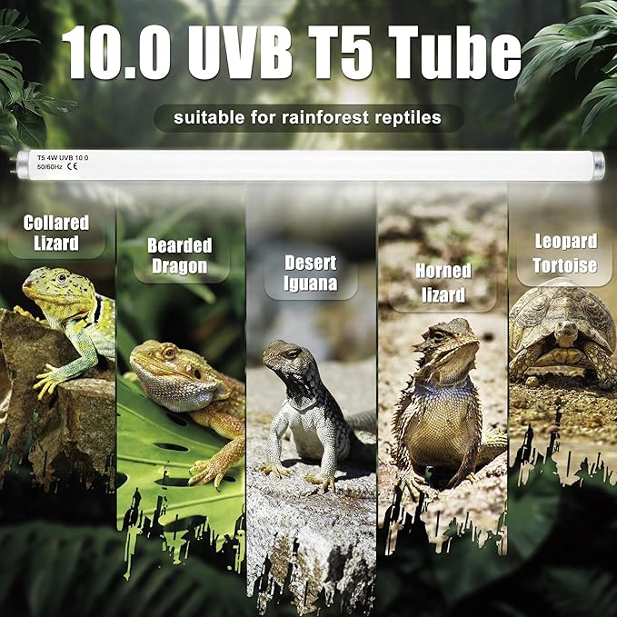 T5 HO UVB 10.0 Reptile Replacement Tube, 14W 22 in Linear Fluorescent Lamp, for Tropical Reptiles