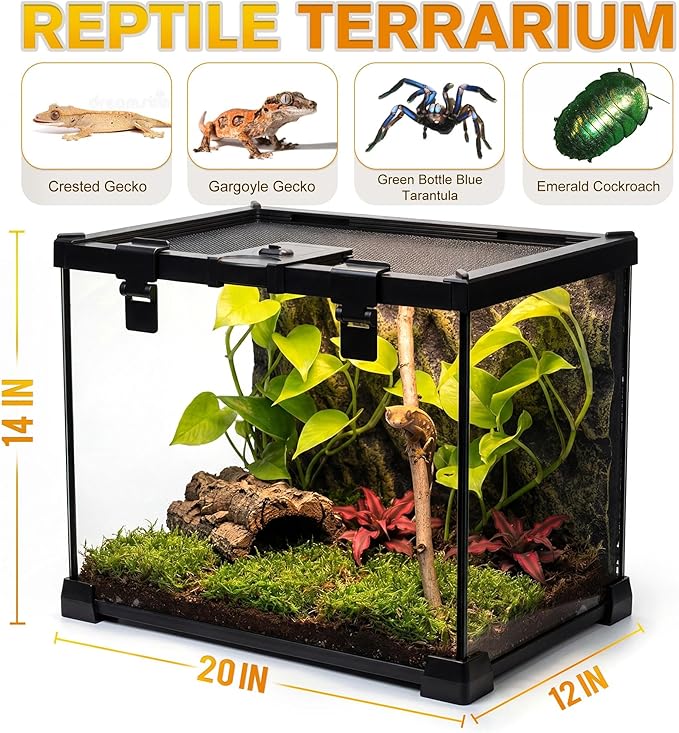 20"x12"x14" Mini Reptile Glass Terrarium, Top-Opening Full-View Vivarium with Escape-Proof Lock & Feeding Door, for Small Reptiles & Inverts, Such as Crested Geckos & Arboreal Tarantulas.