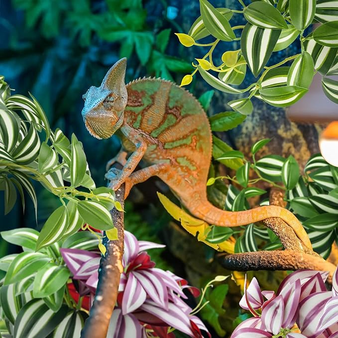 QUOZUO 2 Pack Reptile Plants, Artificial Hanging Plants with Suction Cups, Habitat Decor Plastic Vines Decorations for Bearded Dragons Lizards Snake Geckos Frogs -Purple and Green