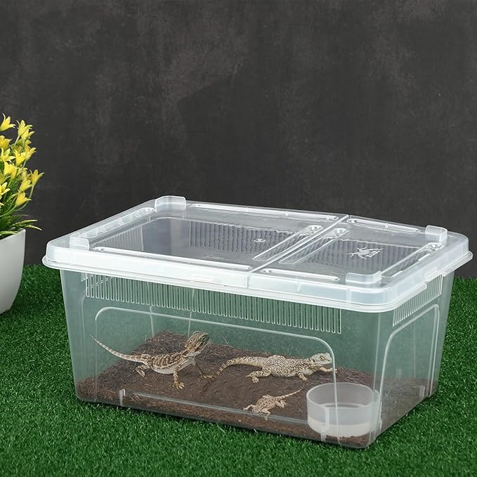 Irenare 8 Pcs Reptile Breeding Box Plastic Spider Terrarium Tarantula Feeding Box for Bearded Dragon Lizard Spider Gecko Scorpion(Vent Strips,Clear,10.6 x 7.4 x 4.7 Inch)