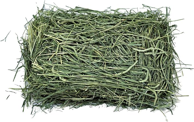 1st Cut Timothy Hay, 8 Lbs
