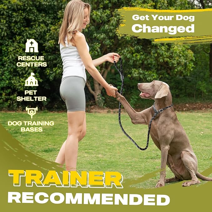 Fida Durable Slip Lead Dog Leash Bulk Pack of 5, Heavy Duty 1/2" x 6 FT Comfortable Strong Rope Slip Lead for Large, Medium & Small Dogs No Pulling Pet Training Leash with Highly Reflective (Black)