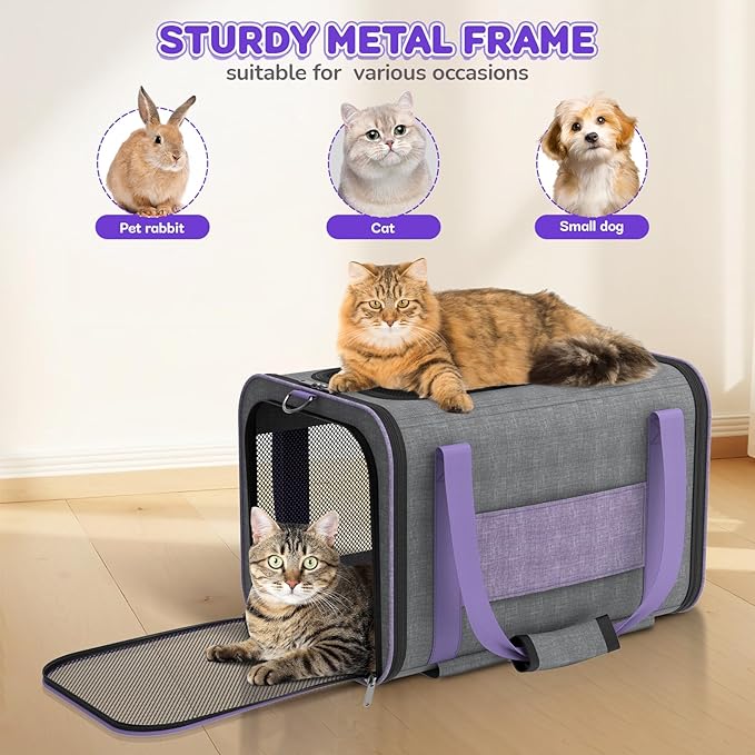 Cat Carrier on Wheels Airline Approved: Betopet Rolling Cat Carrier for Small Dog Medium Cat Under 18lbs - Cat Soft Carrier Pet Travel Bag TSA Approved Under Seat for Airplane Transport Flight