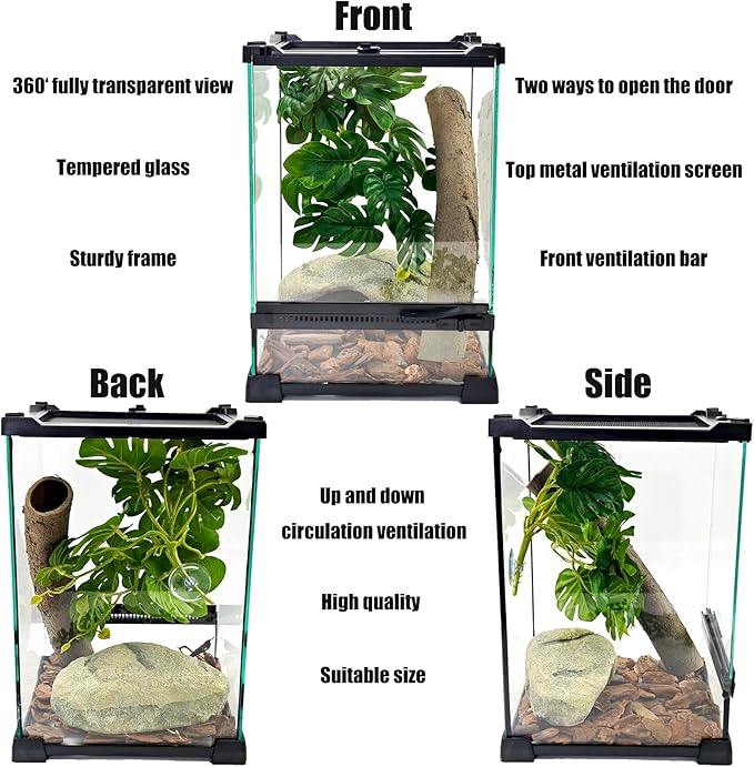 Woyrise Reptile Terrarium 8"x8"x12" Mini, Front-Opening Glass Tank with Mesh Lid & Escape-Proof Locks, 360° Vertical Enclosure with Gap Sealing Strip for Small Geckos, Frogs, Tarantulas, Lizards
