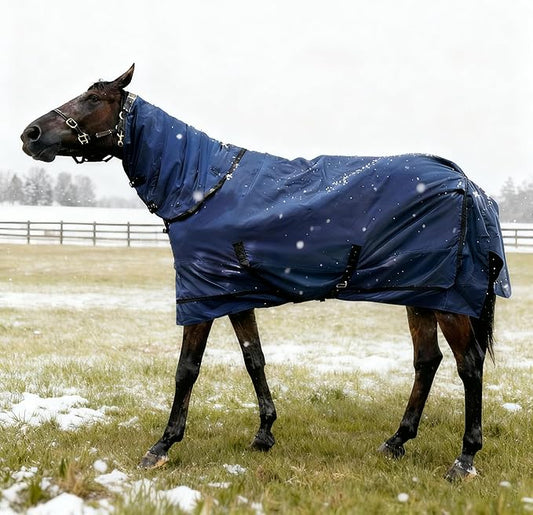 Horse Turnout Blanket | Medium Weight Horse Blanket with 1200D 250g Cotton Filling | Detachable Neck Cover & Belly Wrap (78in/145cm)