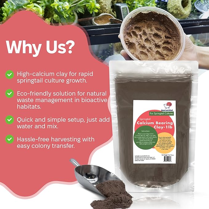 Snout and Shell Springtail Calcium Bearing Clay - 1 lb | Ideal for Culturing Springtails, Reptile and Amphibian Terrariums, and Natural Habitat Cleanup Crew