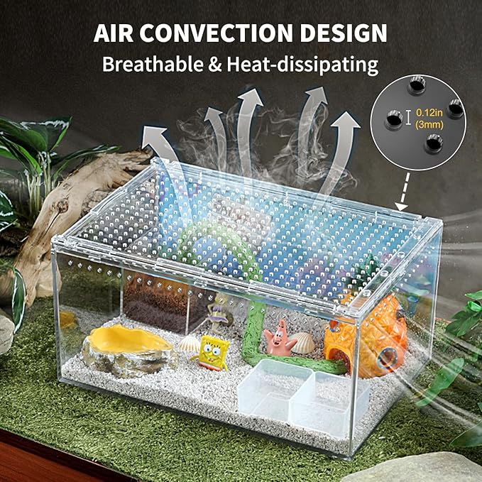 Reptile PC Terrarium 8" x 6" x 4", Tarantula Enclosure,Spider Tank Starter Kit, Hermit Crab Habitat,Lizard Enclosure,Insect Housing,Jumping Spider Cage (Small)