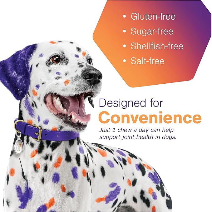 Virbac - MOVOFLEX Soft Chews Are a Joint Support Supplement for Dogs [Large Dogs 80 lb+] (60 ct.)