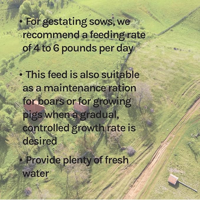 New Country Organics | Swine 12% Protein Feed for Gestating Sows and for General Maintenance of Adult and Finishing Hogs | Soy-Free | Certified Organic and Non-GMO | 40 lbs