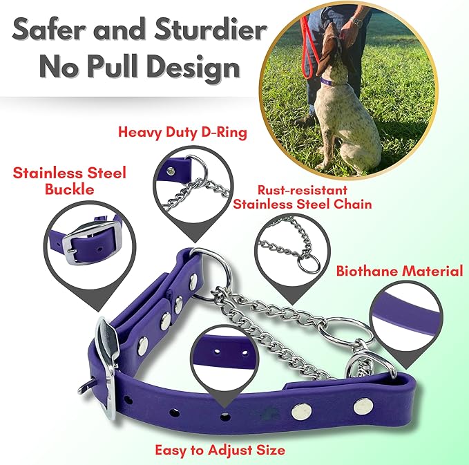 Martingale Collar for Dogs, Biothane, Stainless Steel Hardware, No Pull, Made in The USA, Professional Grade, Small, Purple
