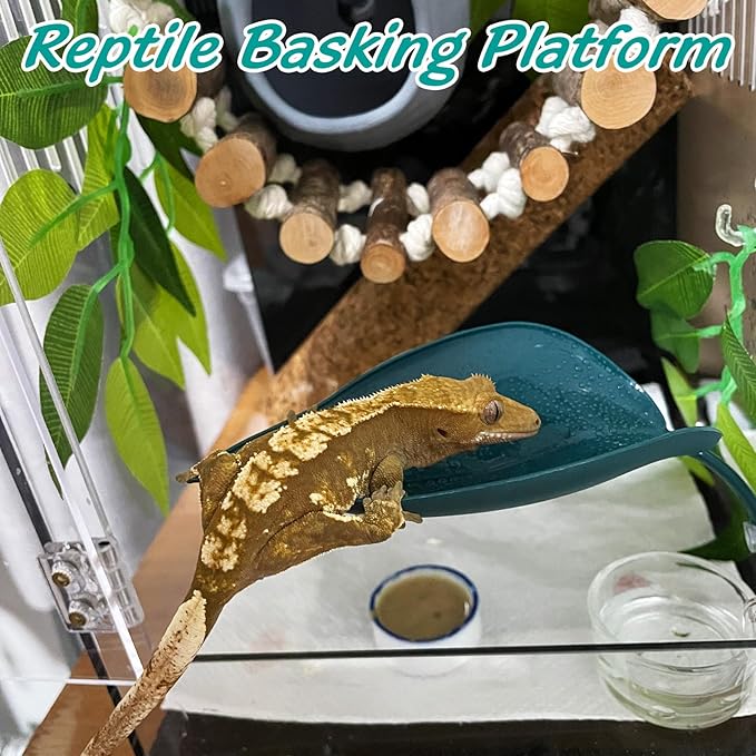 3 Pack Plastic Frog Habitat Platform with Suction Cups Reptile Decorations for Terrarium Dwarf Frogs Tank Accessories Decor Turtle Basking Platforms for Amphibian