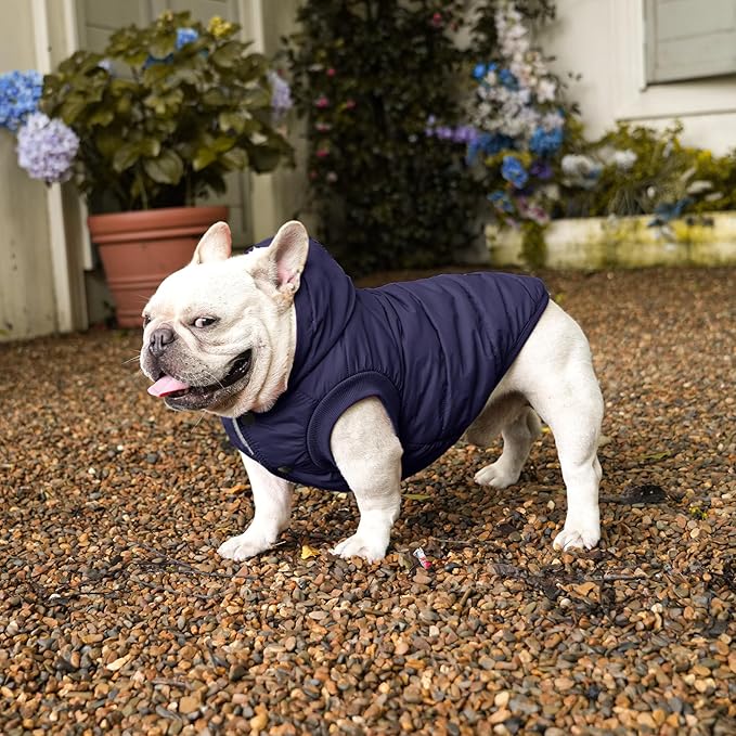 Vecomfy Fleece Lining Extra Warm Dog Hoodie in Winter for Medium Dogs Jacket Pet Coats with Hooded,Blue L