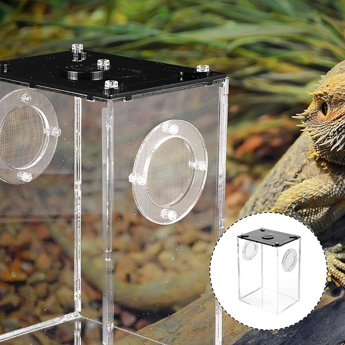 Mipcase Box Box Reptile Feeding Lizard Terrarium Reptile Tank Enclosure Jumping Spider Habitat Container Carrier Breeding Tanks Transparent Feeding Accessories Snake Cage