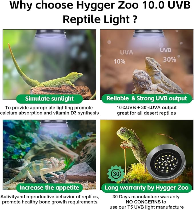 UVB Light for Reptiles with Dimming, LED UVB Light Bulb Fixture for Bearded Dragon Gecko Lizard Turtle Snake, Adjustable Brightness UVA UVB Lamp for Tropical & Desert Reptile Tank Accessories 8W Grey