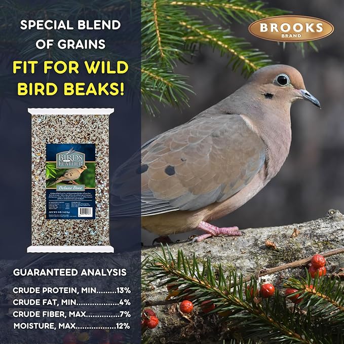 Birds of a Feather Deluxe Dove Food, Pigeon Food, Mourning Dove Outdoor Bird Seed, Dove Bird Seed, Comida para Palomas, Made in USA, 8 lbs