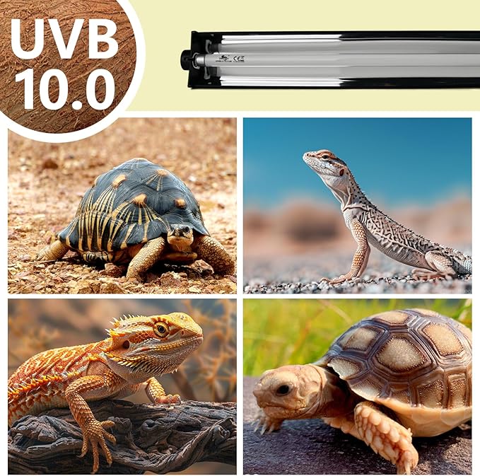 T5 UVB Lighting Combo Kit for Reptiles,8W Light Fixture with Desert 10.0 T5 UVB Light Bulbs Terrarium Hood Heat Lamp for Breaded Dragon,Turtle,Frog,Lizard,Tortoise,Gecko,Snake