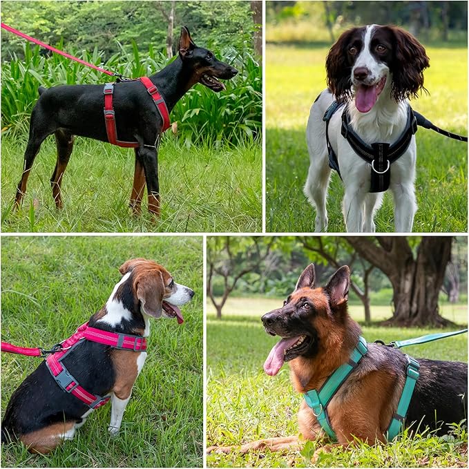 Plutus Pet No Pull Dog Harness, Adjustable Nylon Harness with Soft Padding, Reflective and Heavy Duty Dog Harness for Small, Medium, Large Dogs(Ranger Green, XL)