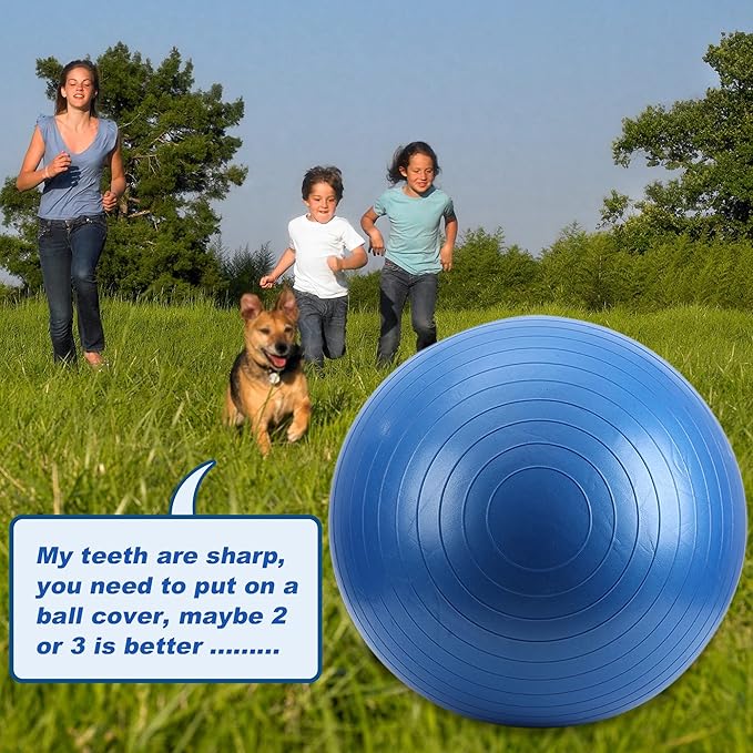 Horse Ball 40inch - Extra Large Toy for Adult Horses, Ideal for Pasture & Indoor Stall Boredom Relief