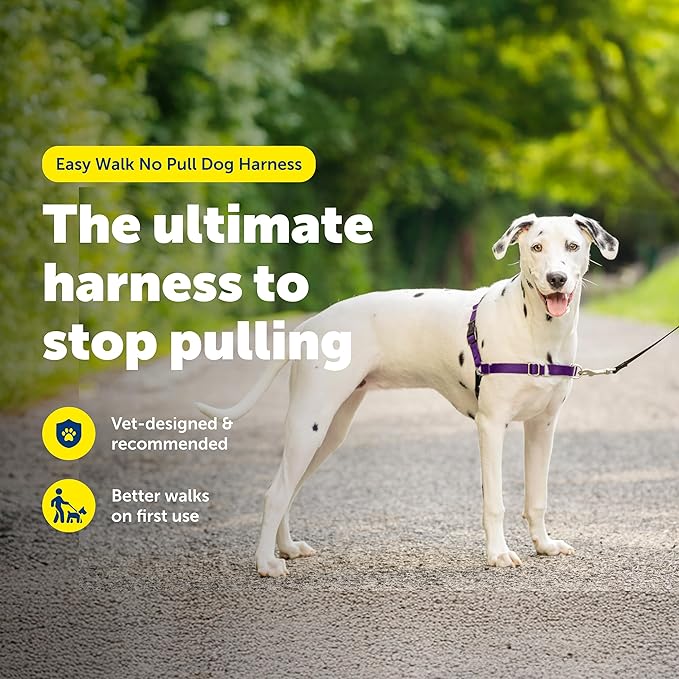 PetSafe Easy Walk Comfort No-Pull Dog Harness - Better Walk Training Harness - Full Body Padded Design - Durable Fabric - 5 Point Adjustable Fit - Everyday Leash Training - Blue - Medium/Large