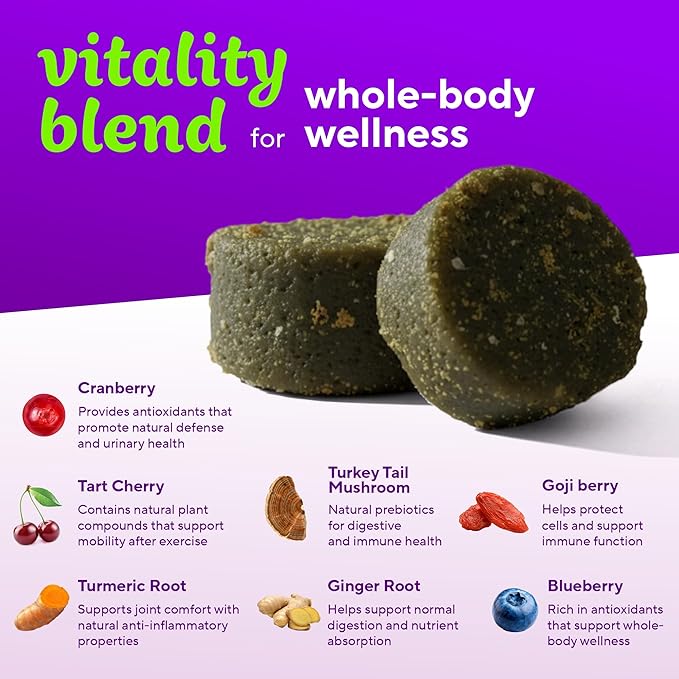 VitaFusion Probiotics for Dogs, Gut & Digestive Health Support with Colostrum & Quercetin, Immune & Seasonal Allergy Support, Superfood Vitality Blend, Beef Flavor120 Soft Chews.