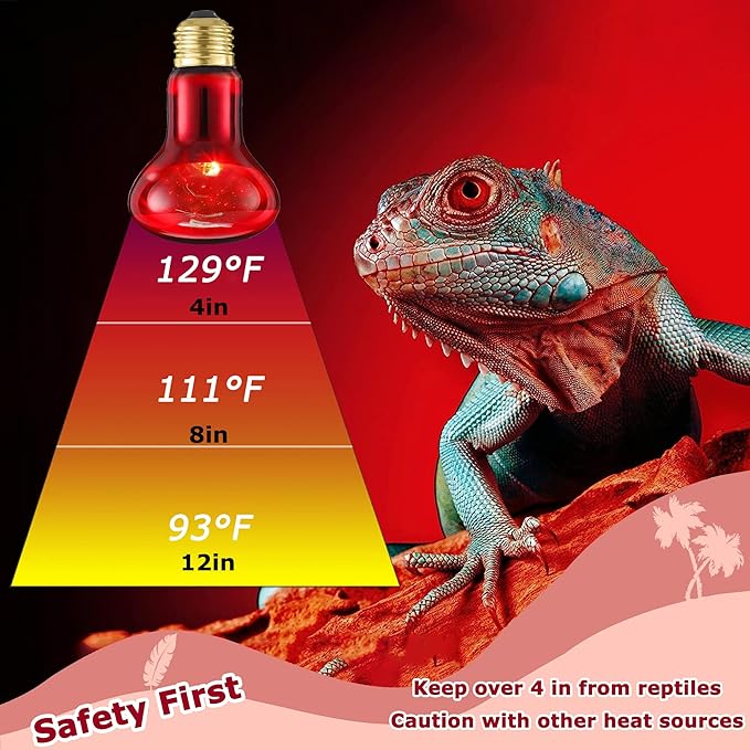 75W Red Infrared Basking Spot Light Bulbs for Reptiles & Amphibians, Heat Lamp for Bearded Dragons, Turtles, Snakes, Chicks, Terrarium Heating and Brooder Warmth, 2 Pack