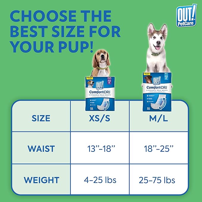 Out! PetCare Disposable Dog Diapers Male,Puppy Belly Band,Potty Training,Doggie Diapers,Belly Bands for Male Dogs,Puppy Training,Incontinence,(XS/S,32ct),(Pack of 2)