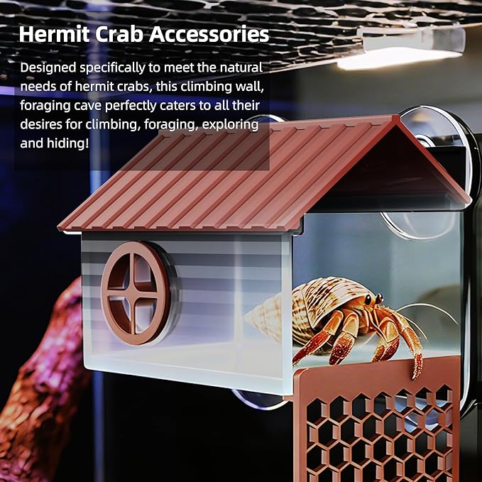 Hermit Crab Accessories | Hermit Crab Climbing Toys with Climbing Wall | Multi-Functional Hermit Crab Hideaway & Foraging Cave with Ladder | Hermit Crab Cage Decorations
