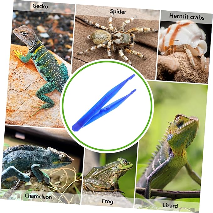 Yardwe 6pcs Reptile Special Tweezers Scorpion Lizard Feeding Tool Plastic Tweezers Fine Grip for Animal Feeding