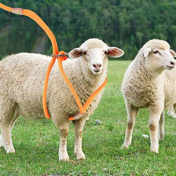 Goat Harness, Goat Supplies, Goat Harness for Walking, Washable Goat Leash, Goat Accessories, Livestock Supplies for Goats, Sheeps