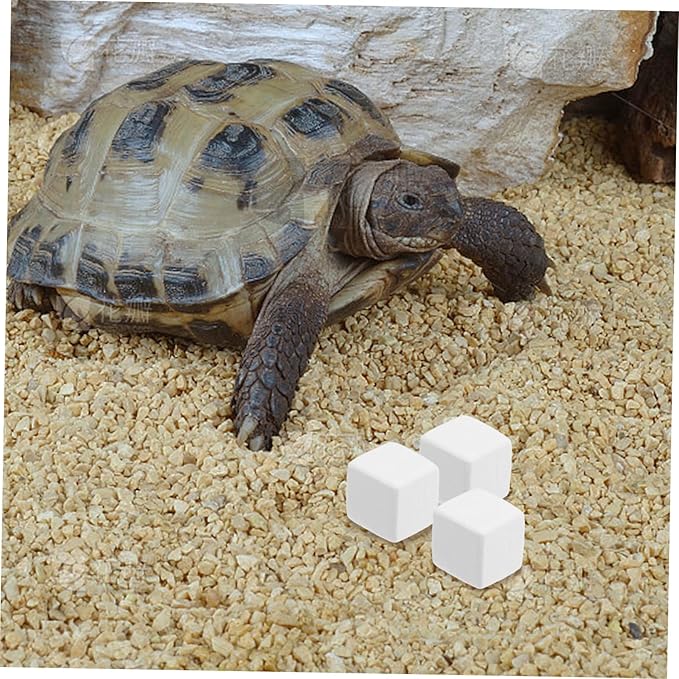 BESPORTBLE 6-Piece Mineral Block Set for Crab Reptile Habitat Natural Mineral Stones for Lizard Terrariums Essential for Small Pets and Chewing