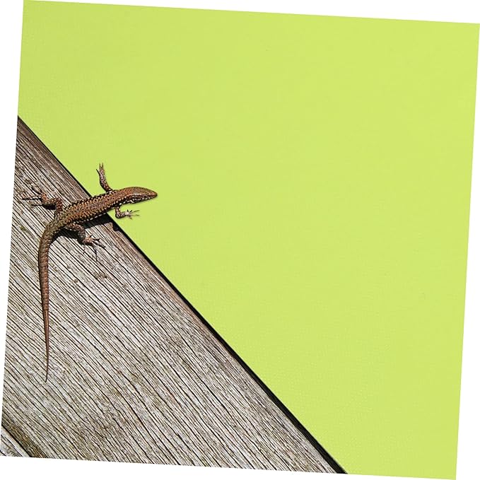 Happyyami 2pcs Reptile Carpet for Terrarium Bedding Non-Absorbent Mat for Bearded Dragon Turtles Snakes and Lizards