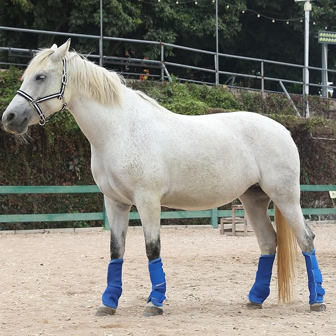 LEAFOREST Horse Fly Boots Set of 4 - Non Slip Leg Protection for Donkey Mini Pony Draft, Breathable Mesh Fly Boots for Pasture & Barn Use Deep Blue Cob