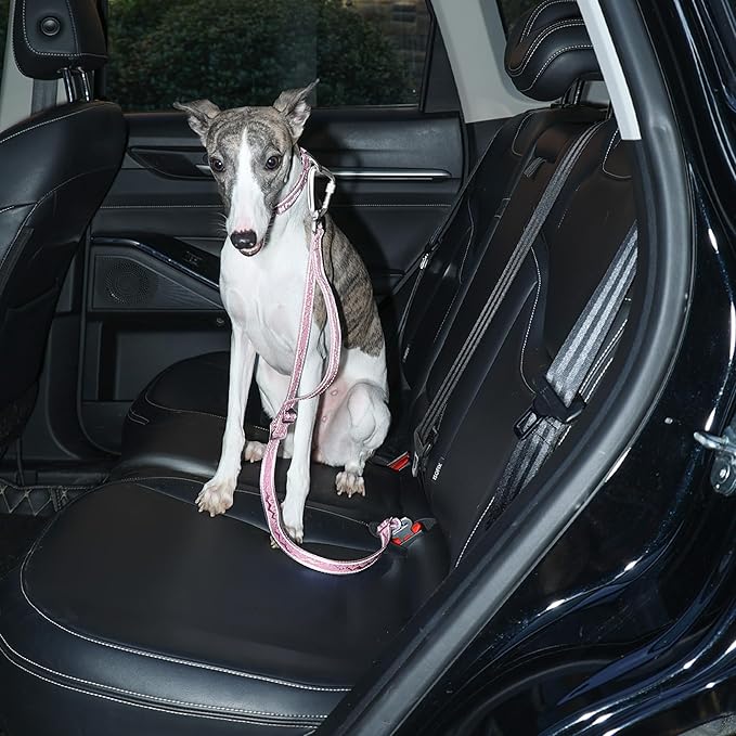 Dog Leash and Collar, Dog Seat Belt for Car, Reflective Nylon, Metal Buckle, IP68, Padded Handle Leash, Durable and Comfortable, for Small Medium Large Dogs (Blush Pink, L)