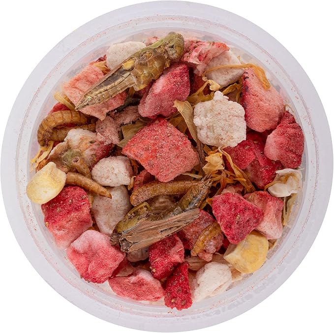 Healthy Herp Box Turtle Food Instant Meal for Reptiles - Nutritious Turtle and Tortoise Food, Habitat Accessories - Made in USA, Quick Prep - 7 x 0.19 oz (5.4g) Cups