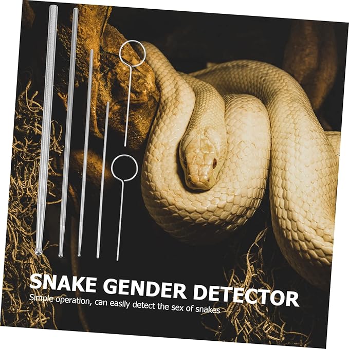 Toddmomy 6pcs Snake Probe Snake Sexing Tool Reptile Terrarium Supply Easy to Use Gender Probe