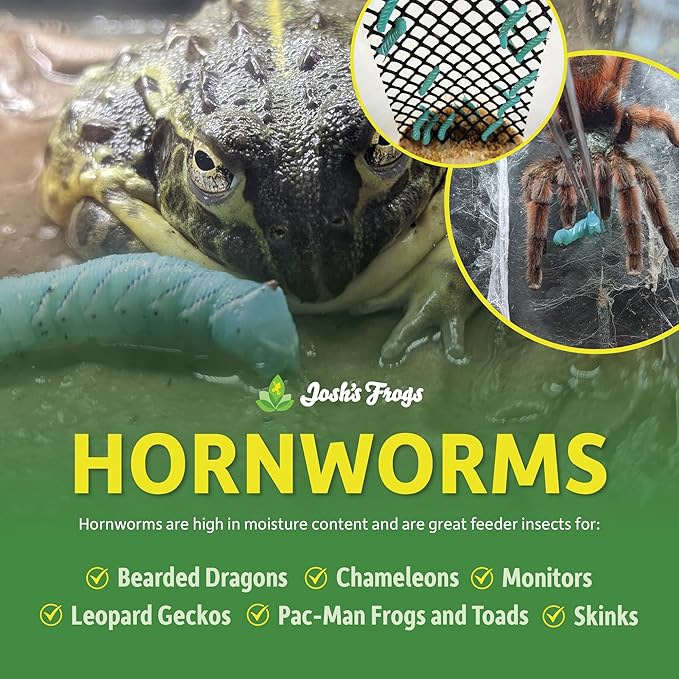 Josh's Frogs Hornworms Habitat Cup (12 Count Cup)