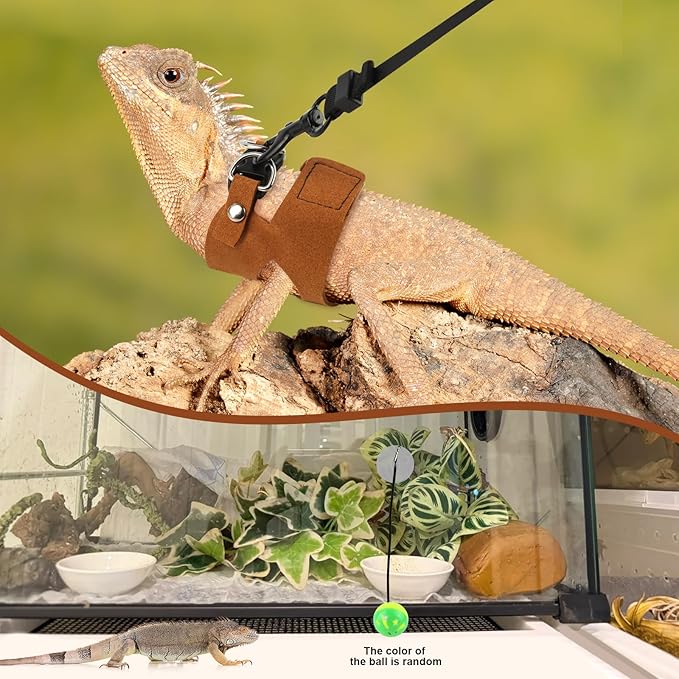 5 Pack Bearded Dragon Leash and Harness Set, Adjustable Soft Leather Lizard Leash with 3 Sizes for Small Animals, Reptile Walking Training Vest for Ferret, Hamster, Chameleon, Brown