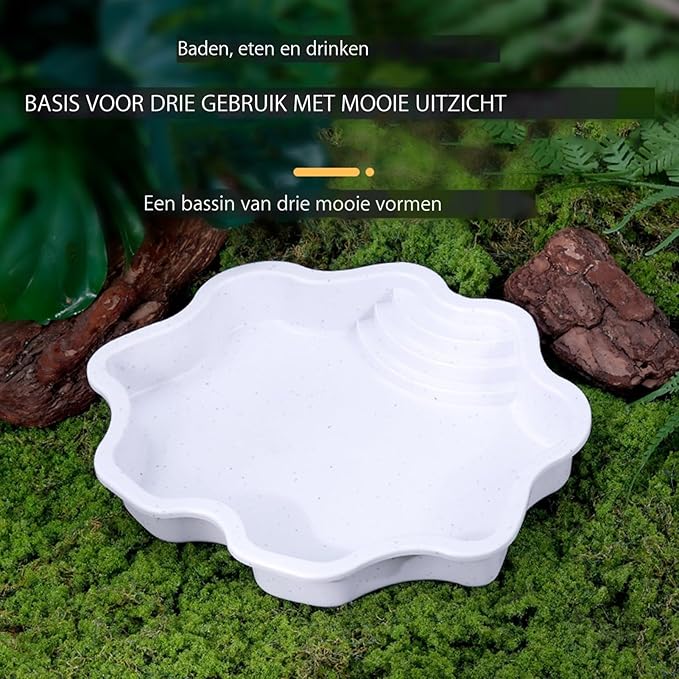 Turtle Water Enclosure | Turtle Pool | Turtle Swimming Pool | Turtle Habitat | Turtle Water Enclosure |Turtle Soaking Pool | Turtle Pool | Turtle Water Feature | Aquatic Turtle Pool | Turtle bask
