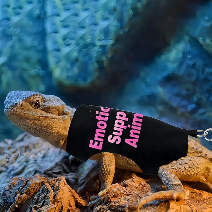 2 Pack Bearded Dragon Harness and Leash Set,Escape Proof Lizard Reptiles Harness Small Animal Traction Rope Training Walking Vest for Reptile Squirrel Rat-Blue&Pink