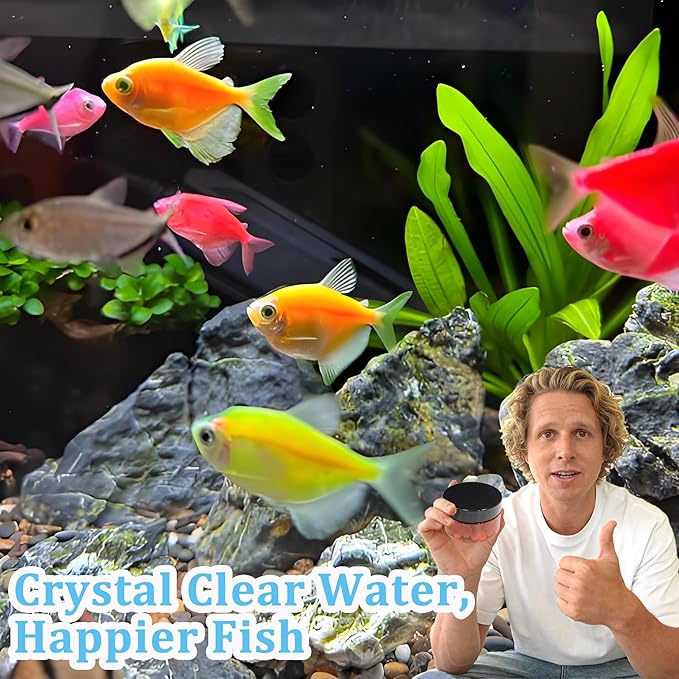 Aquarium Water Purification Tablets for Fish Tanks – Premium Water Purification Tablets to Remove All Kinds of Turbidity, Clarify Water, Promote Healthy Fish Environment (2)