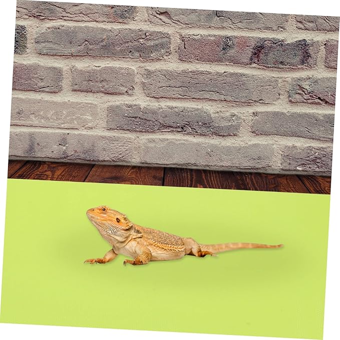2pcs Reptile Tank Lizard Accessories Mat Substrate Liner for Bearded Dragon Reptile Carpet Mat for 10 Gallon Terrarium