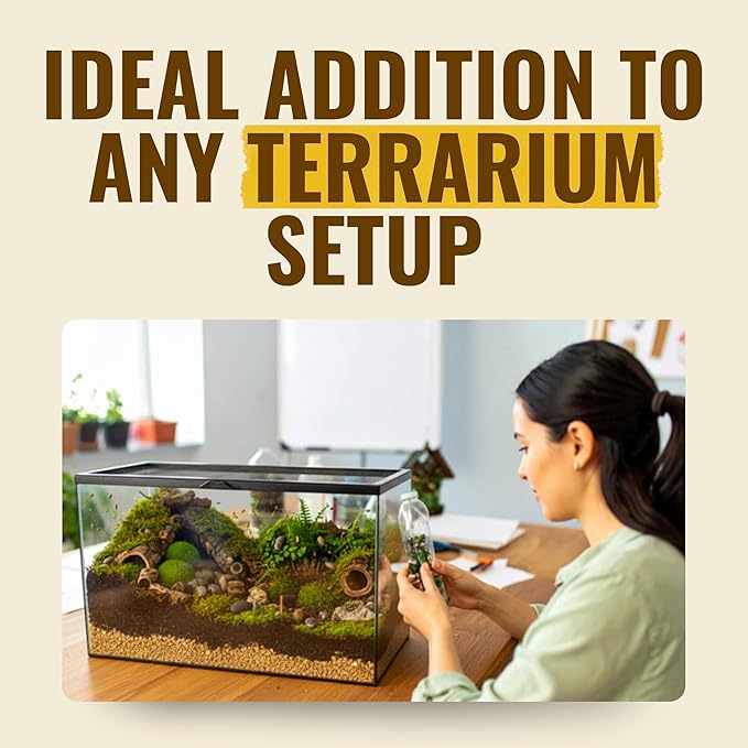 12+ Armadillidium Yellow Spotted Gestroi - Live Isopods for BioActive Terrariums, Vivarium Clean-up Crews, and Reptile Food