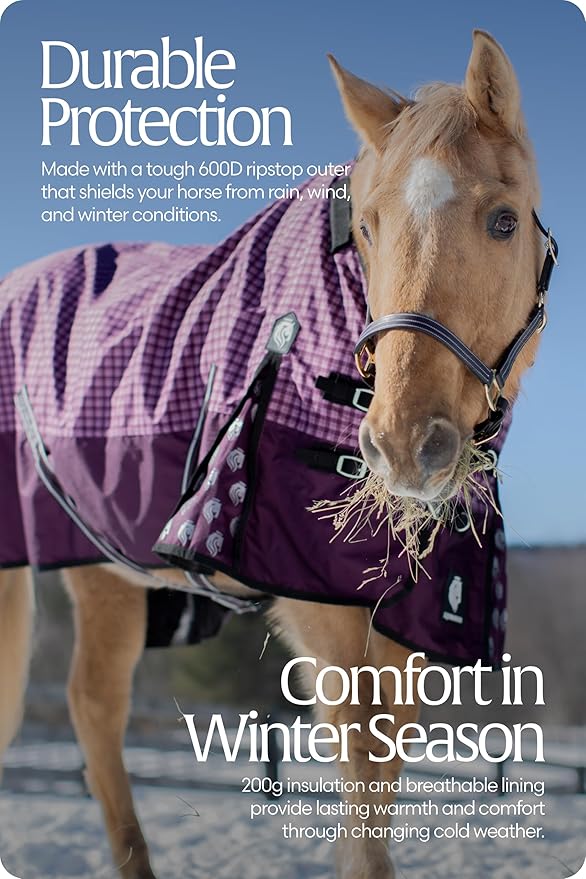 Equinavia Norse 200g Medium Weight Horse Blanket | Waterproof Winter Turnout - Black - 66 in - Plum Wine/Orchid Haze - 72 in