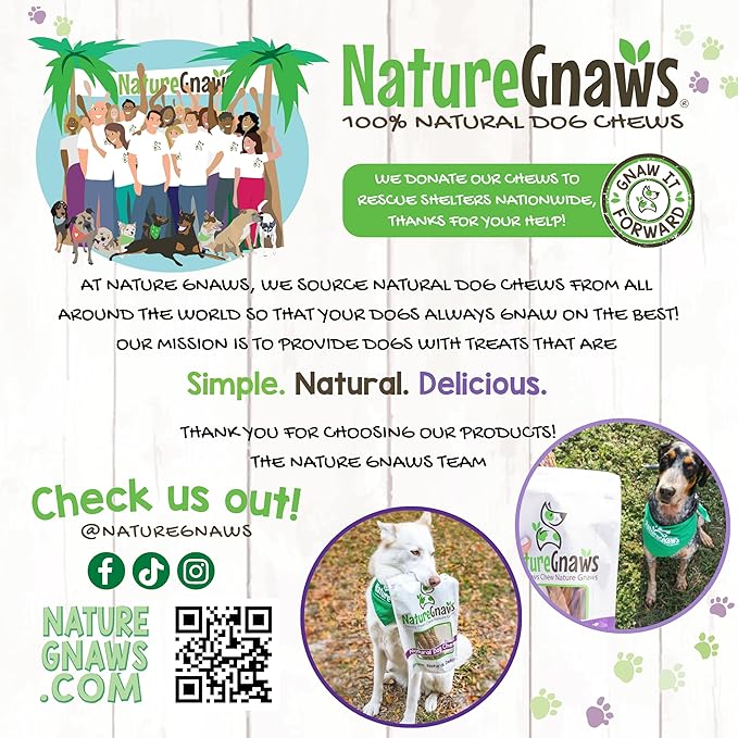Nature Gnaws Small Bully Sticks for Dogs 5-6" (25 Count) - Long Lasting for Light Chewers and Puppies - Natural Thin Beef Dog Chew Bones - Rawhide Free
