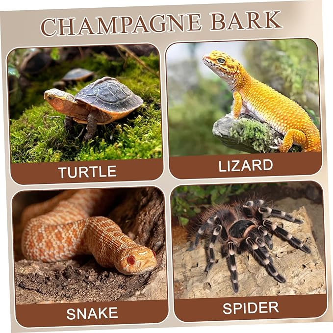 4pcs Cork Bark Reptile Decor Natural Tree Bark Climbing Platforms Reptiles Terrariums Background Cork Wood Habitat Tank Decoration for Snake Basking Lizard Hiding and Safe, Random Shape and Size