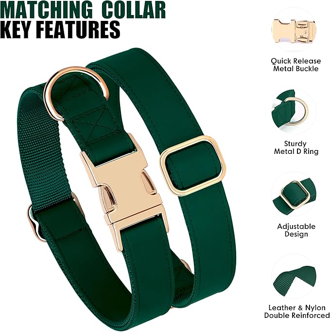 PET ARTIST Soft PU Leather Dog Collar and Leash Set, Bright & Stylish 5FT PU Leather Leash and Collar Set, Durable Pet Collars with Quick Release Metal Buckle for Small Dogs,Christmas Green,S(9"-14")