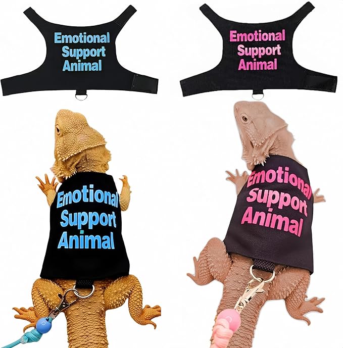 2 Pack Bearded Dragon Harness and Leash Set,Escape Proof Lizard Reptiles Harness Small Animal Traction Rope Training Walking Vest for Reptile Squirrel Rat-Blue&Pink