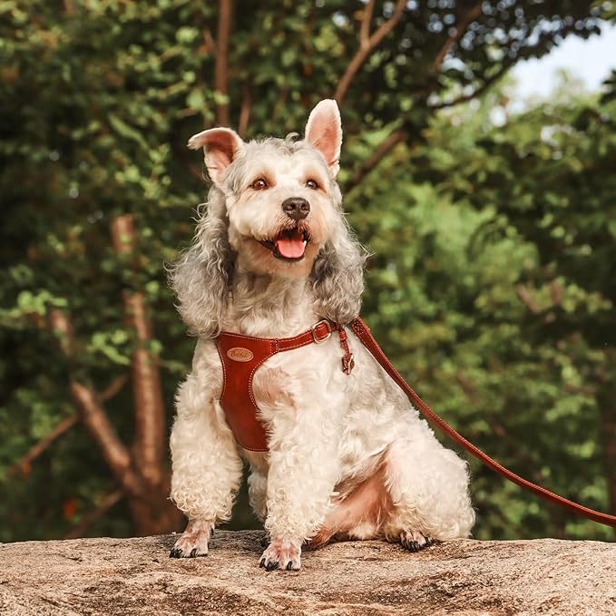 Beirui ‌Stylish PU Leather Dog Harness‌ and Leash Set for Small Dogs, ‌Adjustable Step in Dog Vest Harness with Breathable Mesh Lining and Durable Metal Buckle for Walking Traveling(Brown,S)