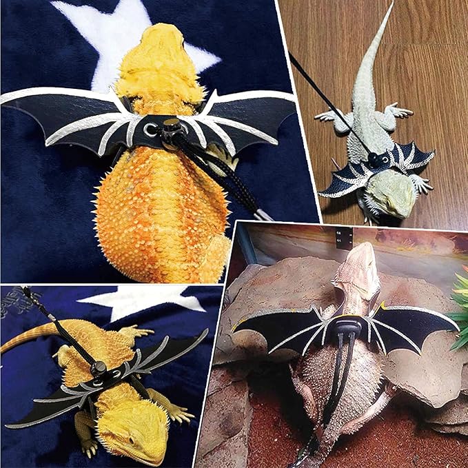 Valentine's Day Bearded Dragon Lizard Leash Harness Hat Bowtie Set - Valentine's Day Hat + Bowtie + 3 Pack Harness for Bearded Dragon Iguana Amphibians Gift Small Animal Clothes Outfit(Black Set)