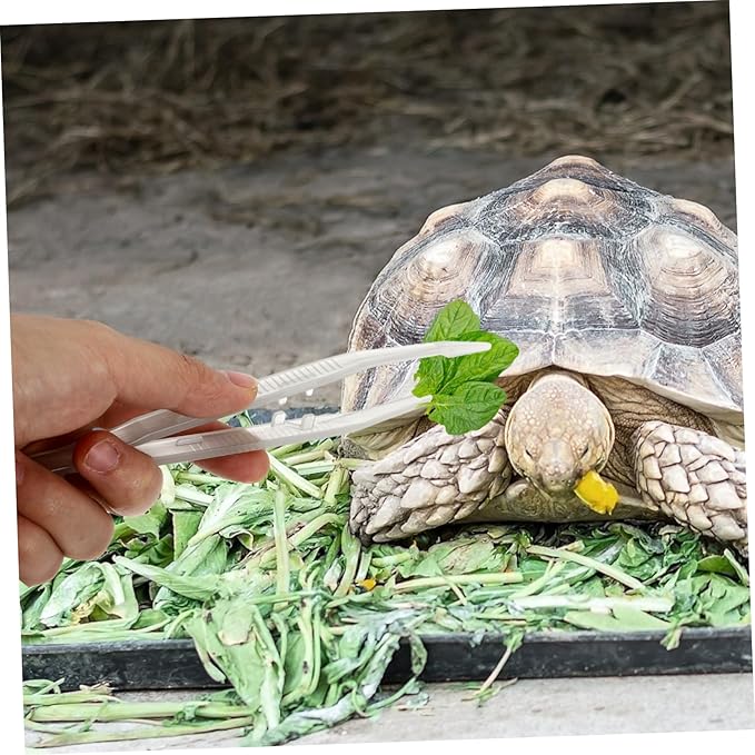 2Pcs Night Glow Feeding Tweezers for Reptiles Flexible Pet Feeding Clip Tools Design for Lizards Turtles Frogs Convenient Night Use